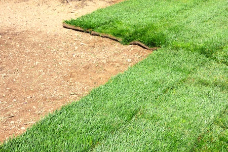 green sod grass and brown earth Backgroundの写真素材
