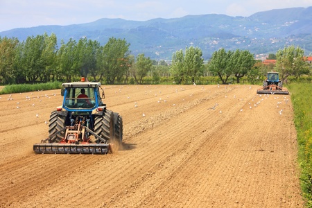 agriculture, two tractors working on a field