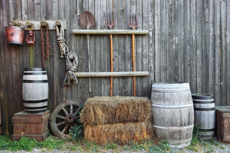 agriculture background in country styleの写真素材