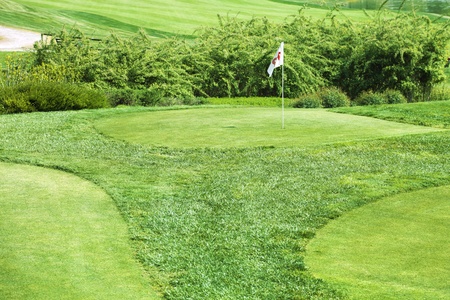 green grass in golf fielの写真素材