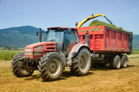 red tractor and trailer collecting hayの写真素材