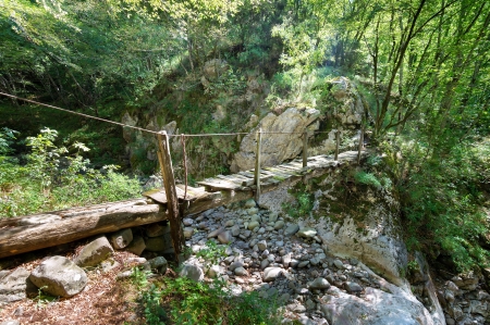 Old wooden bridge in a forestの写真素材