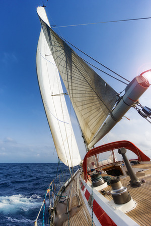 sail boat in the oceanの写真素材