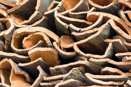 natural cork bark stackedの写真素材