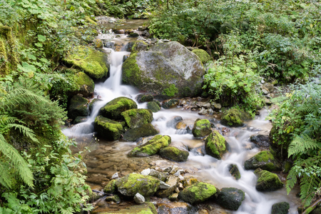water stream on mountain river, Dolomites, Italyの写真素材