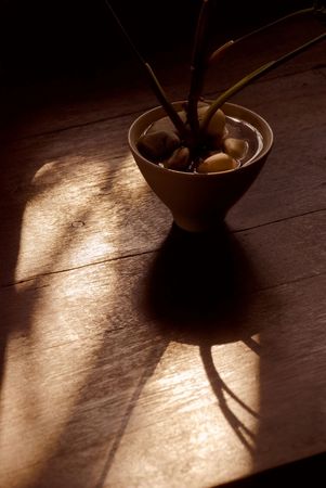 An image of Zen style house plant on a table in a café in Japanの写真素材