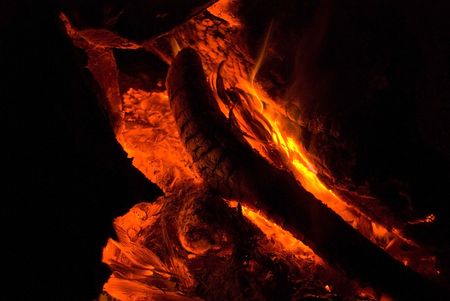 A close up image of a camp fire