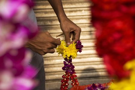 An Indian man making a flower garlandの写真素材
