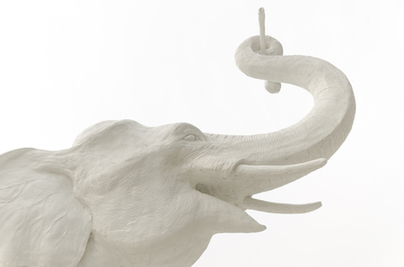 A horizontal photographic image of the head of a large white adult elephant against a white sky.の写真素材