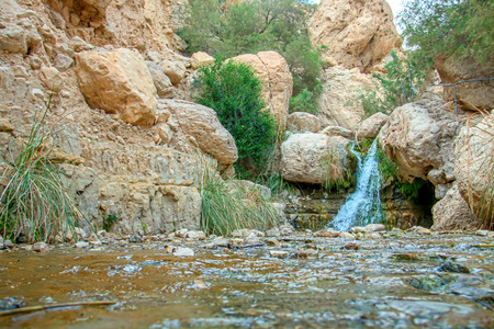 National Park Ein Gediの写真素材