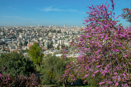 Jerusalem, Israel, view of the cityのeditorial素材