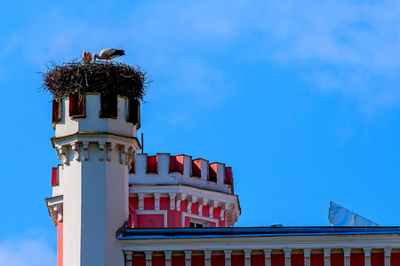 Birini Castle. Latviaのeditorial素材