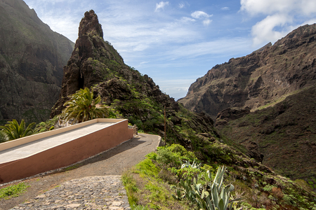 Masca village. Canary Islands. Tenerife. Spainの写真素材
