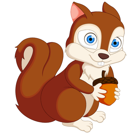 squirel cartoonのイラスト素材