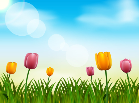spring season background, nature illustration vectorのイラスト素材