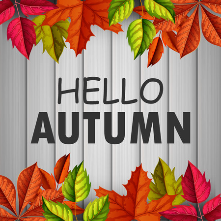 Hello autumn . vector illustrationのイラスト素材