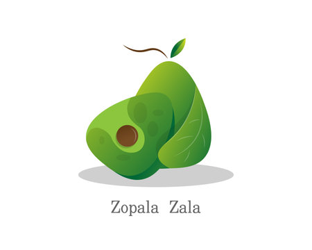 Zapotia zapotia vector illustration. Zapotia zapotia vector icon. Zapotia zapotia vector icon. Zapotia vector iconのイラスト素材