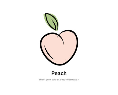 Peach fruit icon. Vector illustration of a peach with leaf.のイラスト素材