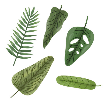 Set of tropical leaves isolated on white background. Hand drawn vector illustration.のイラスト素材