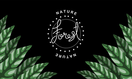 Elegant floral background with tropical leaves. Vector illustration for your designのイラスト素材