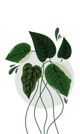 Illustration of leaves in a vase on a white background.のイラスト素材