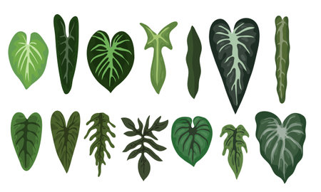 Tropical leaves set. Exotic leaves collection. Vector illustrationのイラスト素材