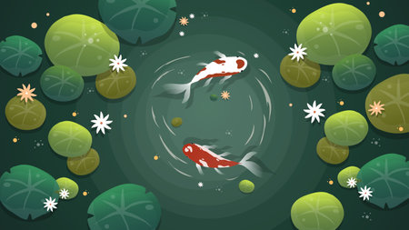 Koi fish swimming in pond. Vector illustration for your design.のイラスト素材