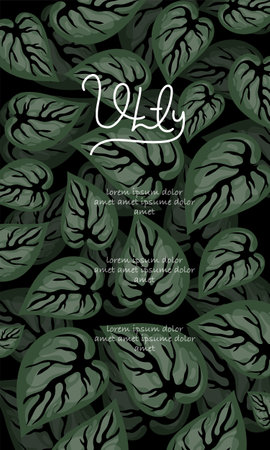Vector card with leaves of caladium on black background. Hand drawn illustration.のイラスト素材
