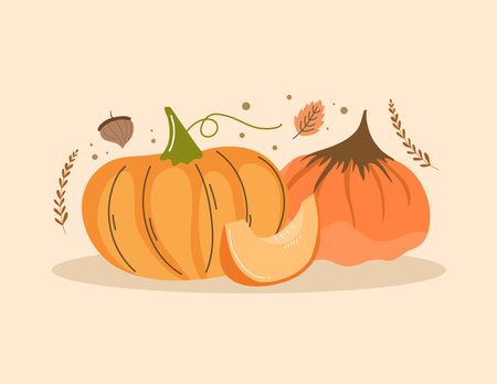 Pumpkin vector illustration in flat style. Autumn harvest concept.のイラスト素材