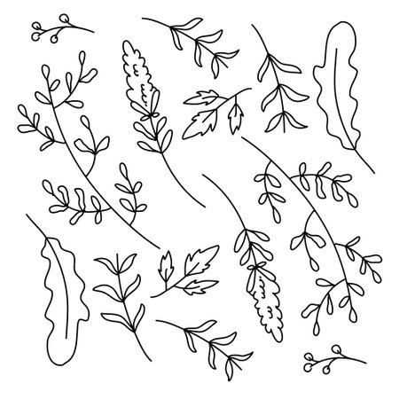leaves plant icon set with doodle line style vector designのイラスト素材