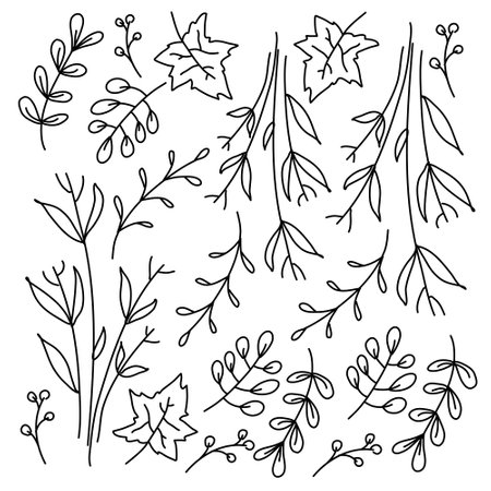 leaves plant icon set with doodle line style vector designのイラスト素材