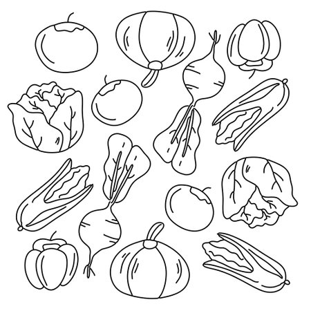 vegetables icon set with doodle line style&#xD;&#xA;のイラスト素材