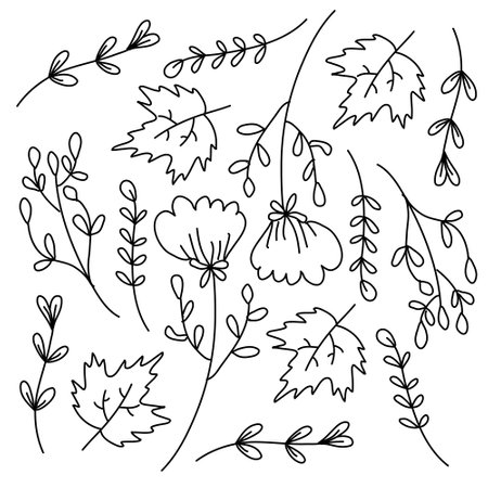 leaves plant icon set with doodle line style vector designのイラスト素材