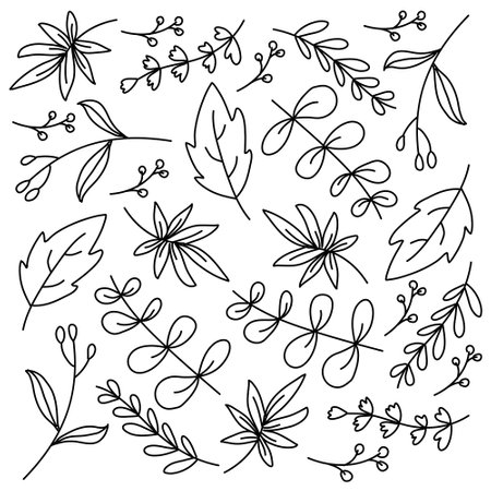leaves plant icon set with doodle line style vector designのイラスト素材