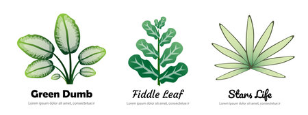 Set of hand drawn green leaves isolated on white background. Vector illustration.のイラスト素材