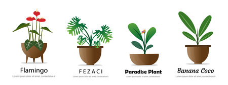 Set of houseplants in pots. Flat style vector illustration.のイラスト素材