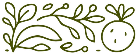 Organic root vegetable and leaves border decorative line artのイラスト素材
