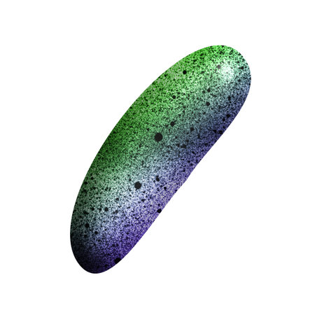 Bacteria isolated on white background. Microorganism. Microorganism.の写真素材