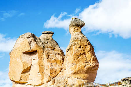 Stone Camelの写真素材