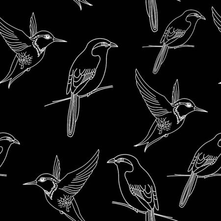 Hand drawn birds contour pattern. Seamless flying bird illustration on black background. Line artの写真素材