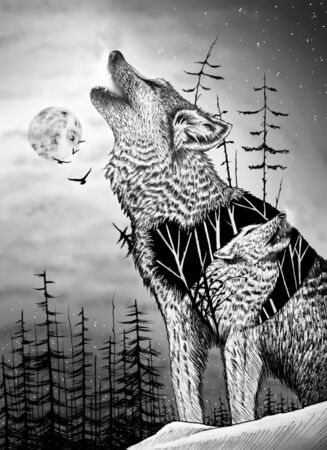 Loving wolves in nature. Wolf drawing. Animal illustration.の写真素材