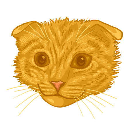 lion stream mascot for sports and esports logoのイラスト素材