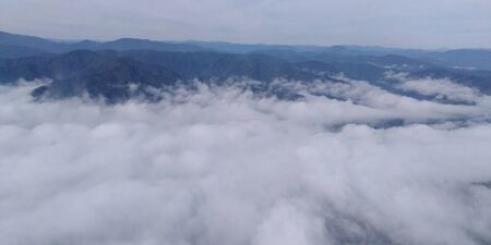 bird flight height Altai Russiaの写真素材
