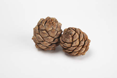 Pine cones on a white background close-up, side viewの写真素材