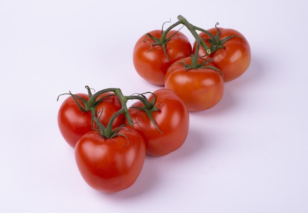 red tomatoes on a twig isolated on white backgroundの写真素材