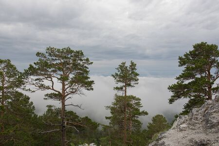 Buryatia, Arshan resort, June 2019, mountain viewの写真素材