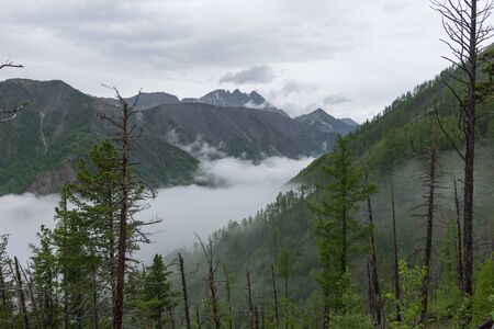 Buryatia, Arshan resort, June 2019, mountain viewの写真素材