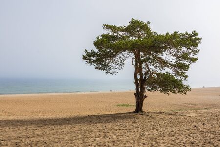 Beautiful view of Lake Baikal on a clear summer day from the shore of Olkhon Islandの写真素材