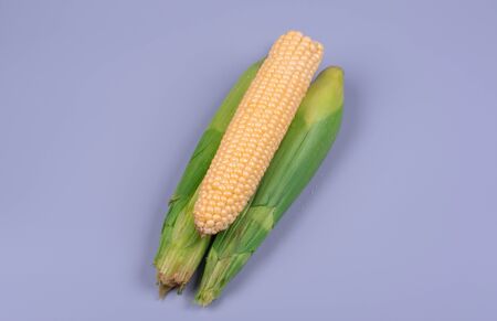 three unpeeled corn on a gray background, top viewの写真素材