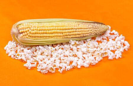 raw corn lies on a heap of fried popcorn, background is bright, orange, side view